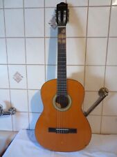Clifton wooden Gitarre Finest Musical Instruments handmade duality guitasrs