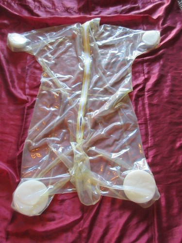 Dog play latex petplay zwangs - dog,