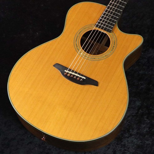 Furch guitars 23cr - g-23cr, cutaway