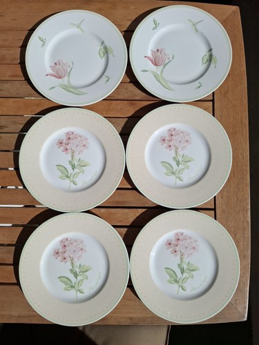 Villeroy boch florea 6 x - boch,