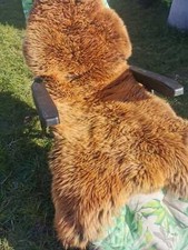 Top Öko Lammfell Schaffell Felle Gold Braun Neu L - XXL