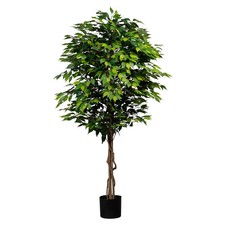 Künstliche birkenfeige ficus - birkenfeige, 'ficus