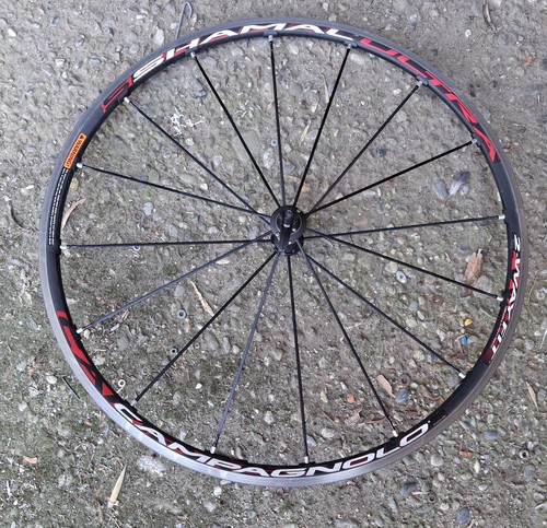 Campagnolo shamal ultra - shamal, 28"