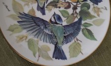 Vintage Bluameis (Parus