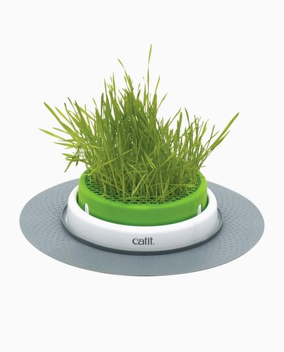 Senses grastopf catit - senses,