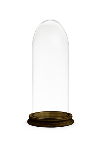 Glasglocke mit sockel - glasglocke,