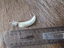 Charivari/ Jagd/Tracht