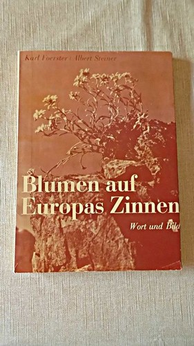 Blumen auf europas zinnen - blumen,