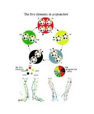 Fünf Elemente in der Akupunktur -- A4, Jan van Baarle