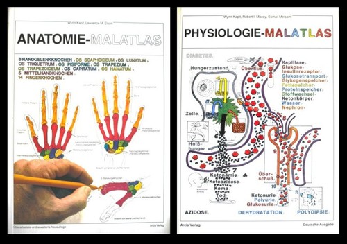 Anatomie und physiologie - anatomie,
