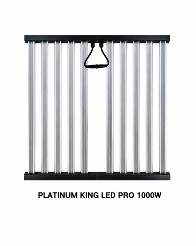 Platinum king led pro 1000w - king,