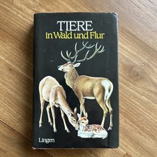 Buch Tiere in Wald und