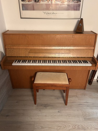 Alexander herrmann pianino - alexander,