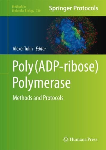 Poly polymerase - poly(adp-ribose),