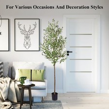 180/210cm Olivenbaum