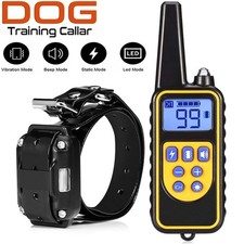 1000M Hund Ausbildung