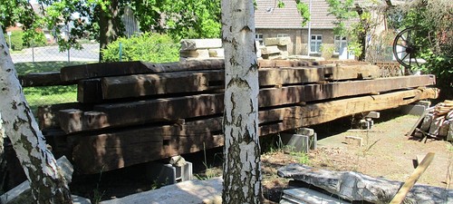 200 jahre altes eiche - altes,