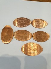 6  Motive Elongated Coin Sylt Aquarium Sylter Robben 