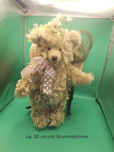 älterer schildkröt teddy - älterer, teddy,