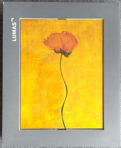 Fotografie fotokunst michael - fotografie,