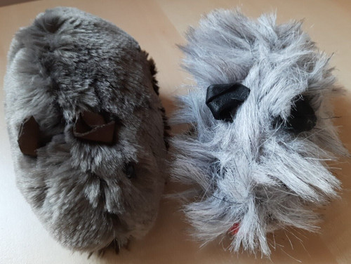 Kleine meerschweinchen - 2,