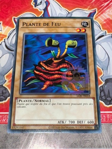 Gi oh karte - gi,