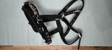 Kieffer Kappzaum Pony - Nylon