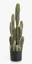 Artplants kunst kaktus san - kunst,