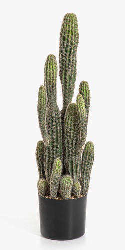Artplants kunst kaktus - kunst, san
