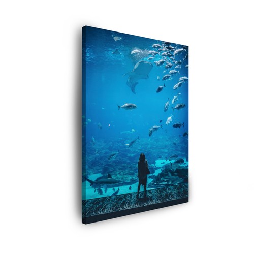 Canvas leinwandbilder - leinwandbilder, xl