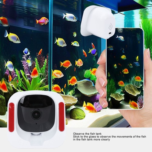 Window camera 4mp - 2k,