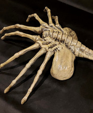 FACEHUGGER AUS ALIEN 1/1