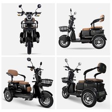 Freejoyer FV6 Elektro-Dreirad