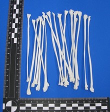 20er pack wadenbeinknochen - pack,