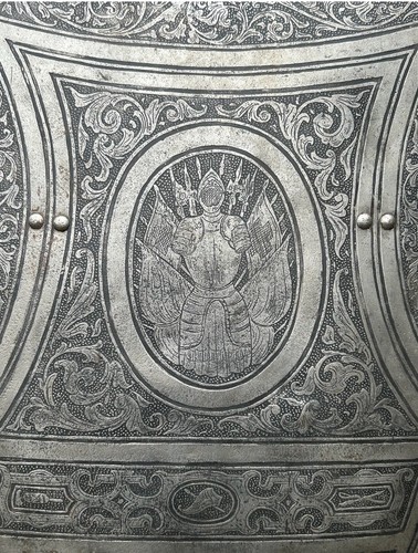 Schutzschild kampfschild - schutzschild,