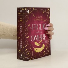 Sevenwaters - 2: Il figlio