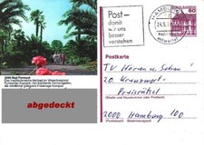(316) Bildpostkarte - Bad Pyrmont - gestempelt