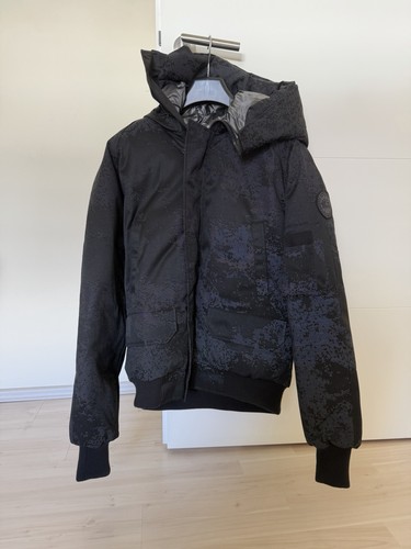 Canada goose chilliwack - goose,