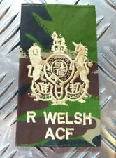 Woodland DPM Camo Royal Welsh ACF Warrant Officer Class I. Rangrutsche - NEU
