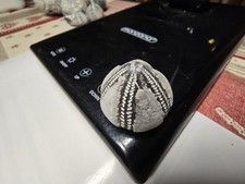 Seeigel Galerites Steinkern