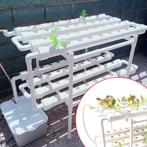 Hydroponic system grow kit - system, 72