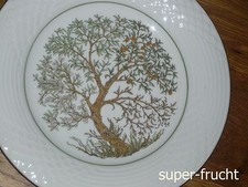 1 Kuchenteller  20 cm