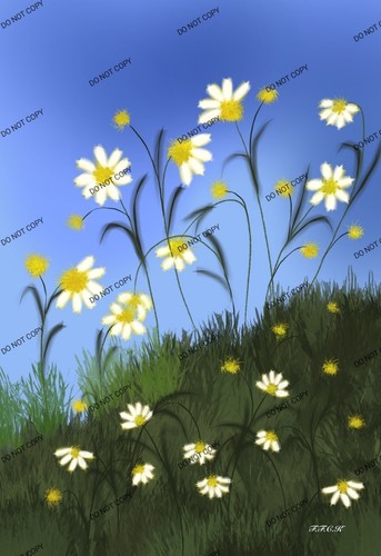 Gänseblümchen kunst auf - gänseblümchen,