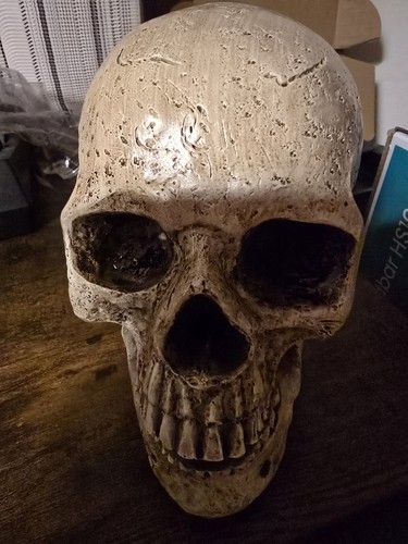 Totenschädel totenkopf - totenschädel,