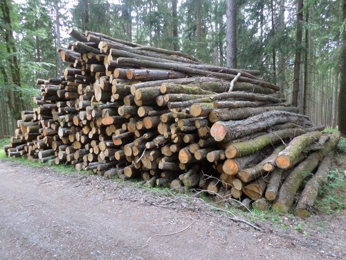 Brennholz kaminholz stammholz - brennholz,