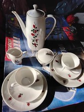 20 Teiliges  Kaffeeservice mit ROSENMUSTER abzugeben