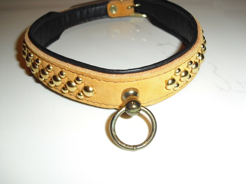 Hund halsband hundehalsband - halsband,