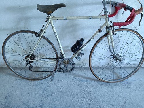 Bottecchia vintage rennrad - bottecchia,