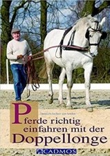 Pferde richtig einfahren mit