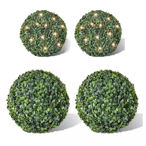 Buchsbaum kugeln - 2x,